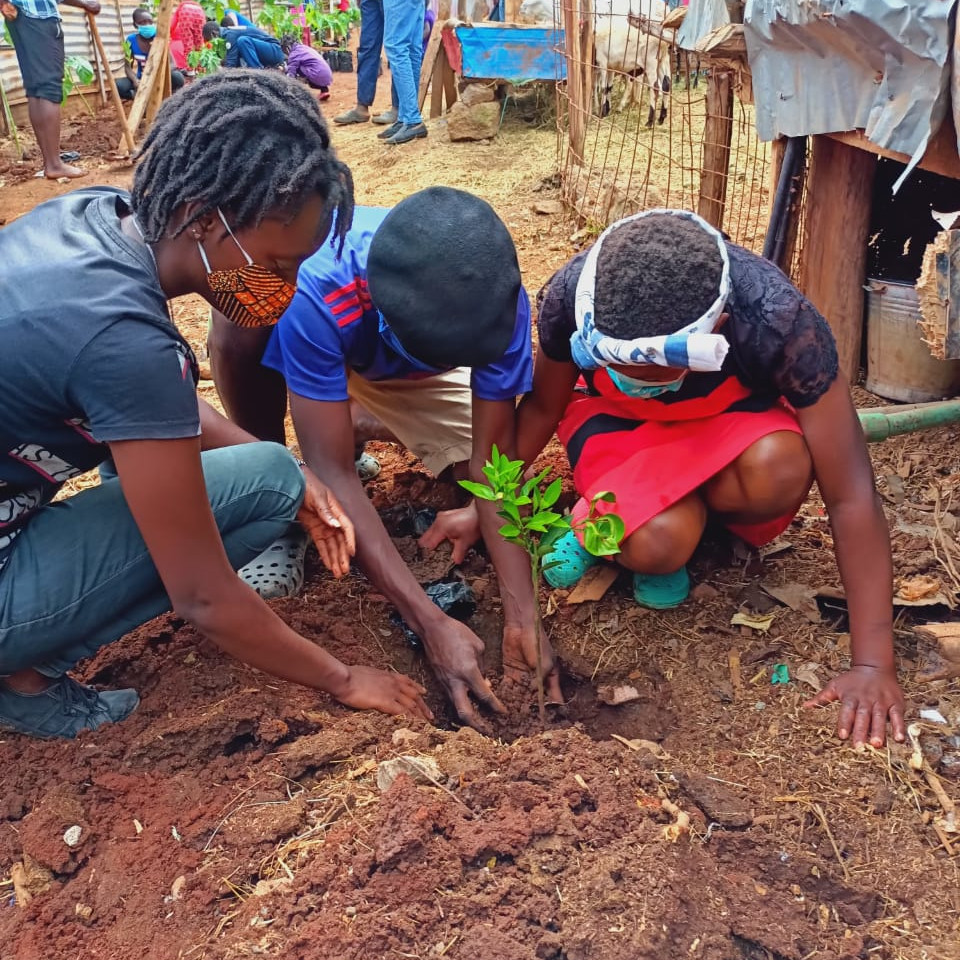 Two Kenyan women and a man wearing PPE masks, planting a sapling