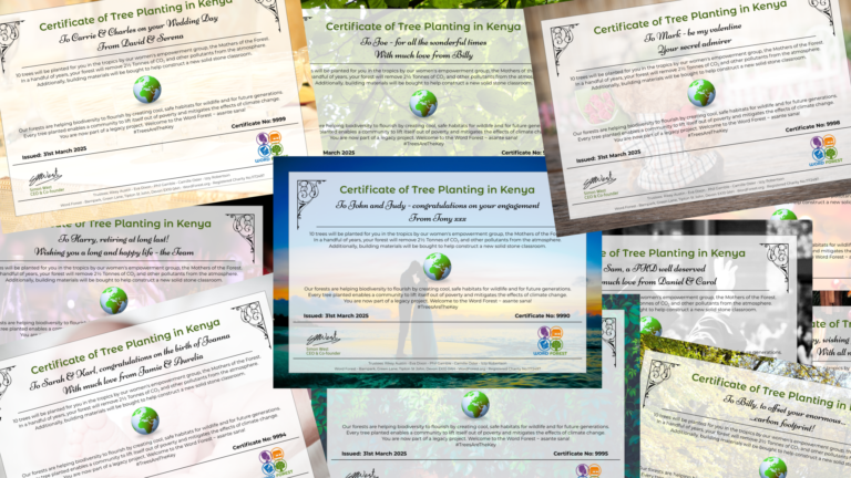 A collage of tree planting certifcates