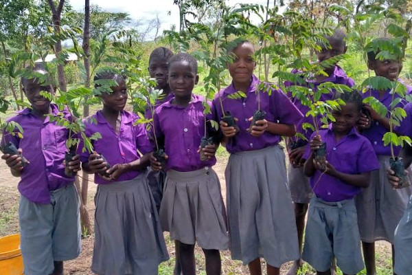 A small group of Kenyan schoolchildren in purple and grey uniform, holding saplings